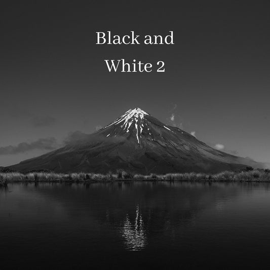 Black and White 2 Presets